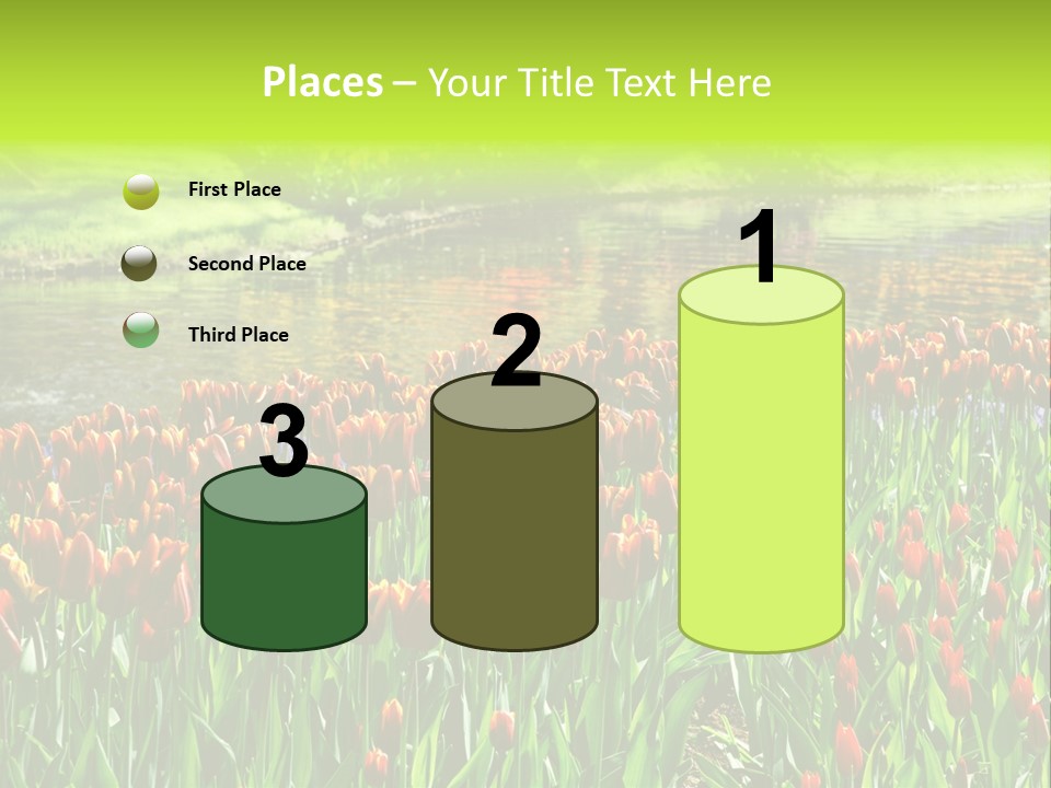 Pink Park Rural PowerPoint Template