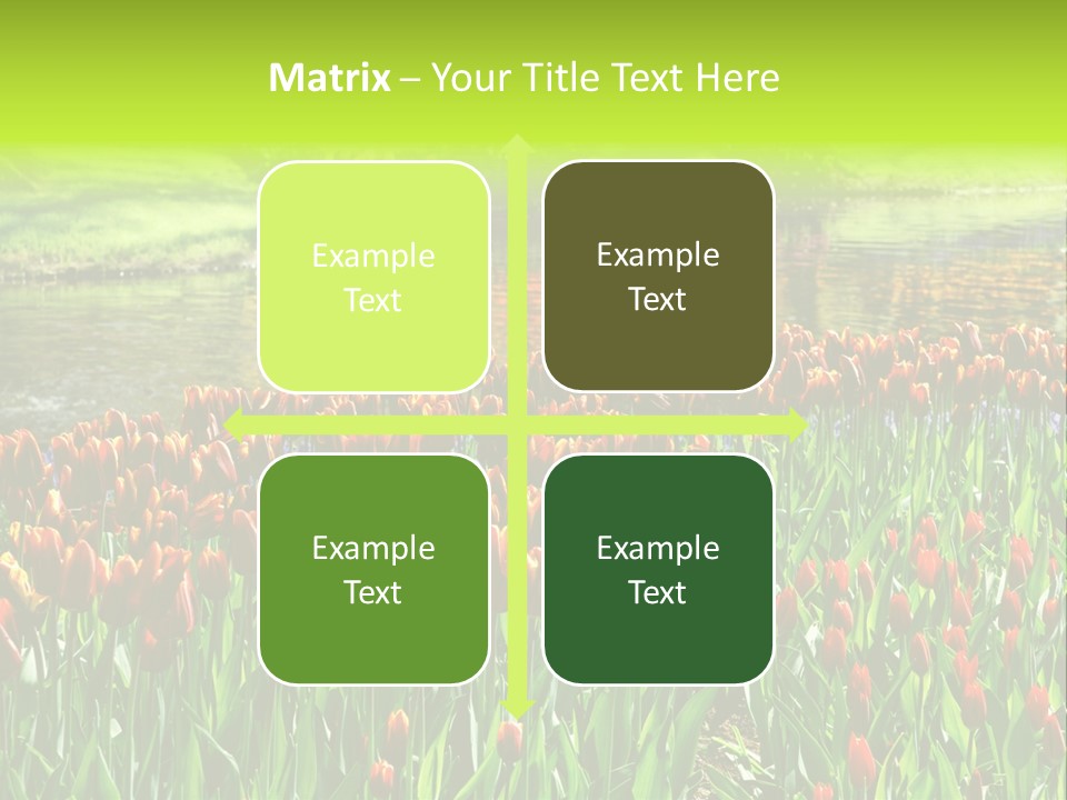 Pink Park Rural PowerPoint Template