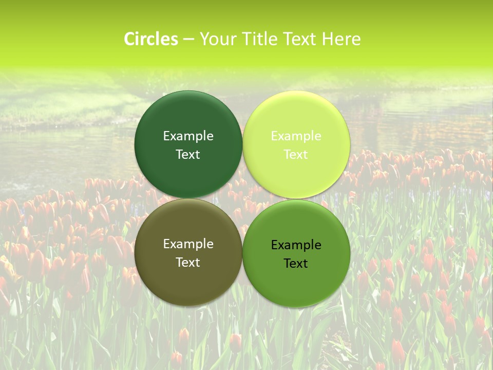 Pink Park Rural PowerPoint Template