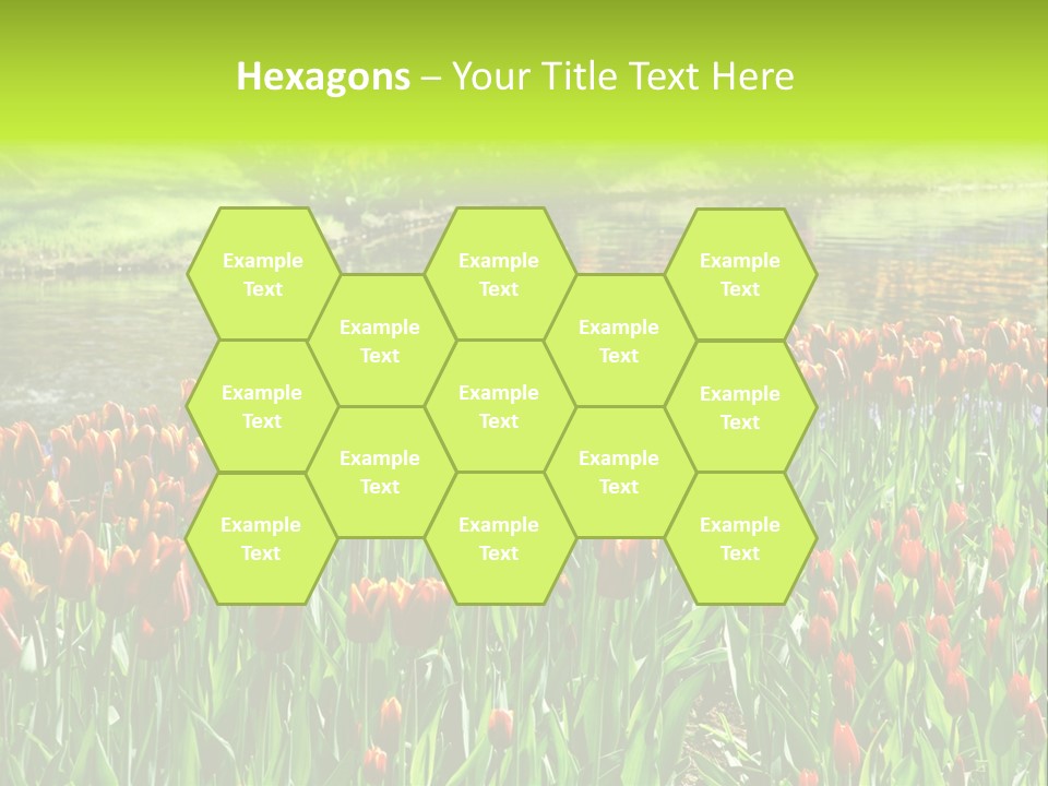 Pink Park Rural PowerPoint Template