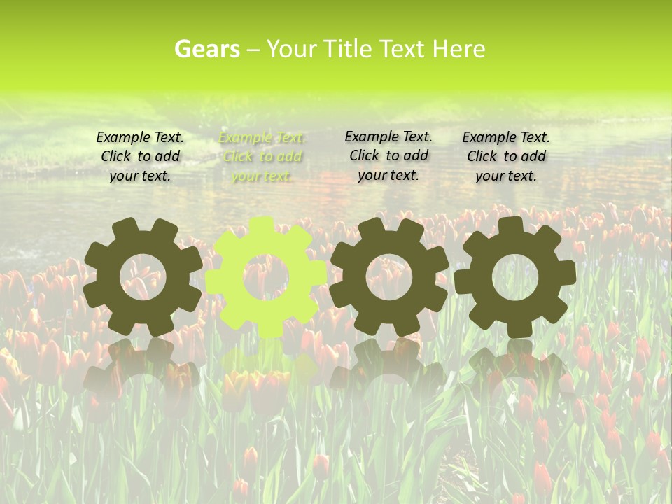 Pink Park Rural PowerPoint Template