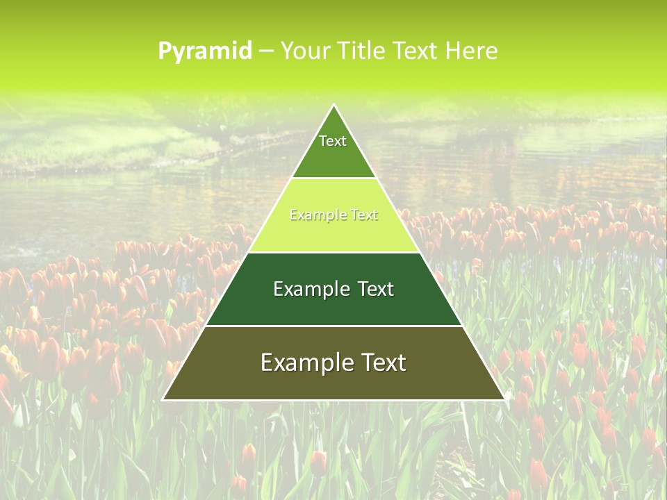 Pink Park Rural PowerPoint Template