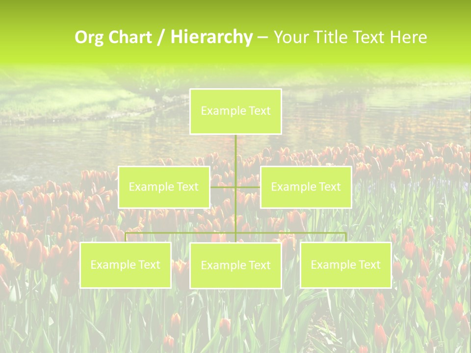 Pink Park Rural PowerPoint Template