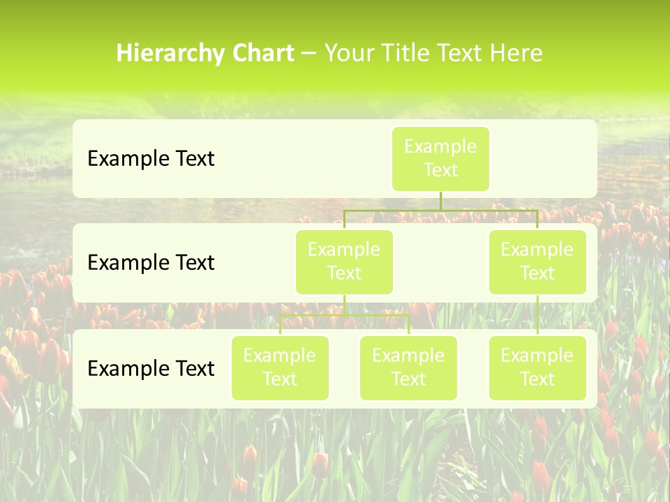 Pink Park Rural PowerPoint Template