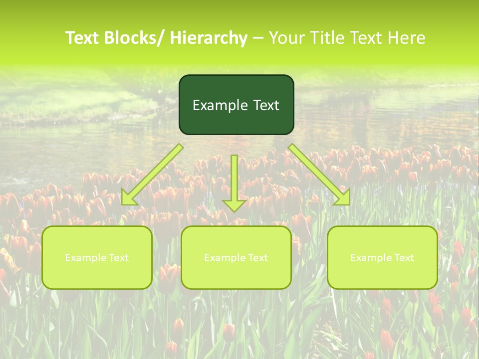 Pink Park Rural PowerPoint Template