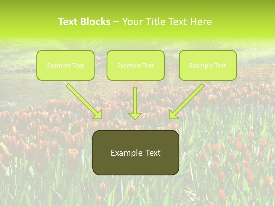 Pink Park Rural PowerPoint Template