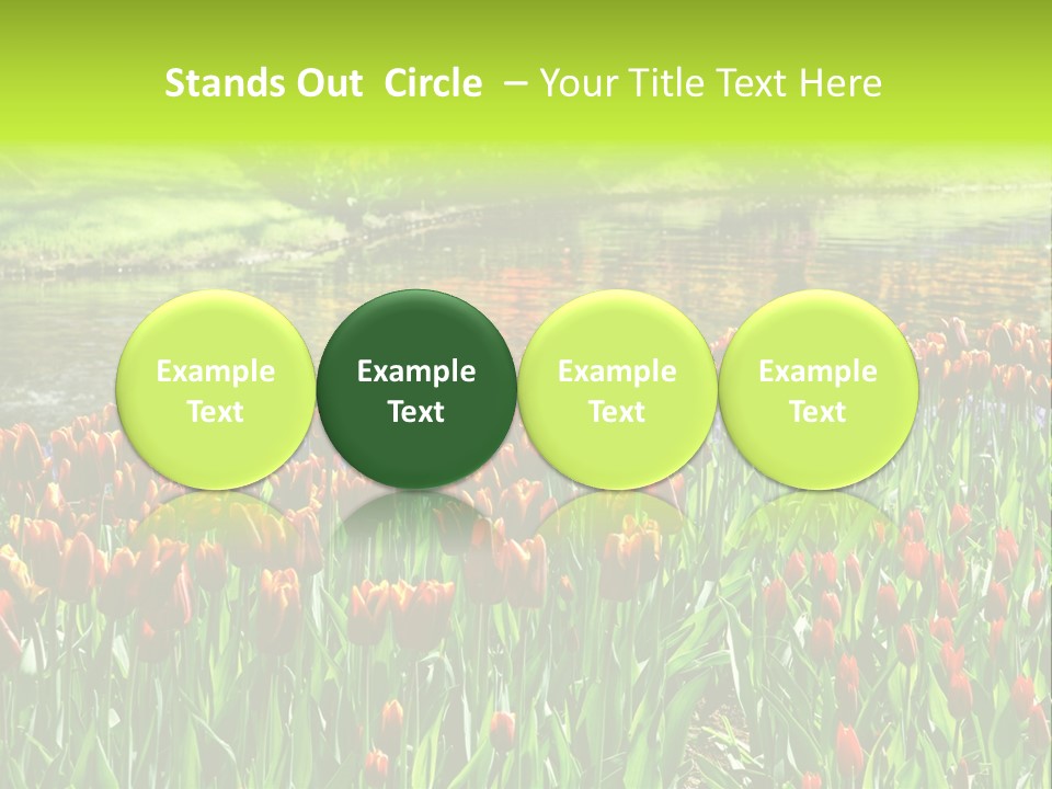 Pink Park Rural PowerPoint Template