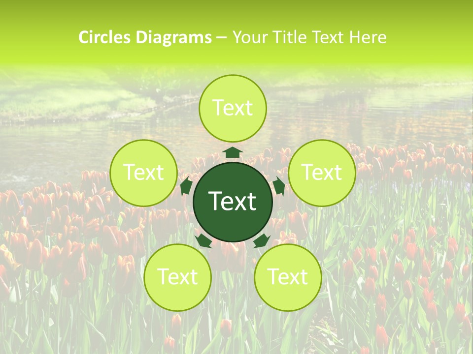 Pink Park Rural PowerPoint Template