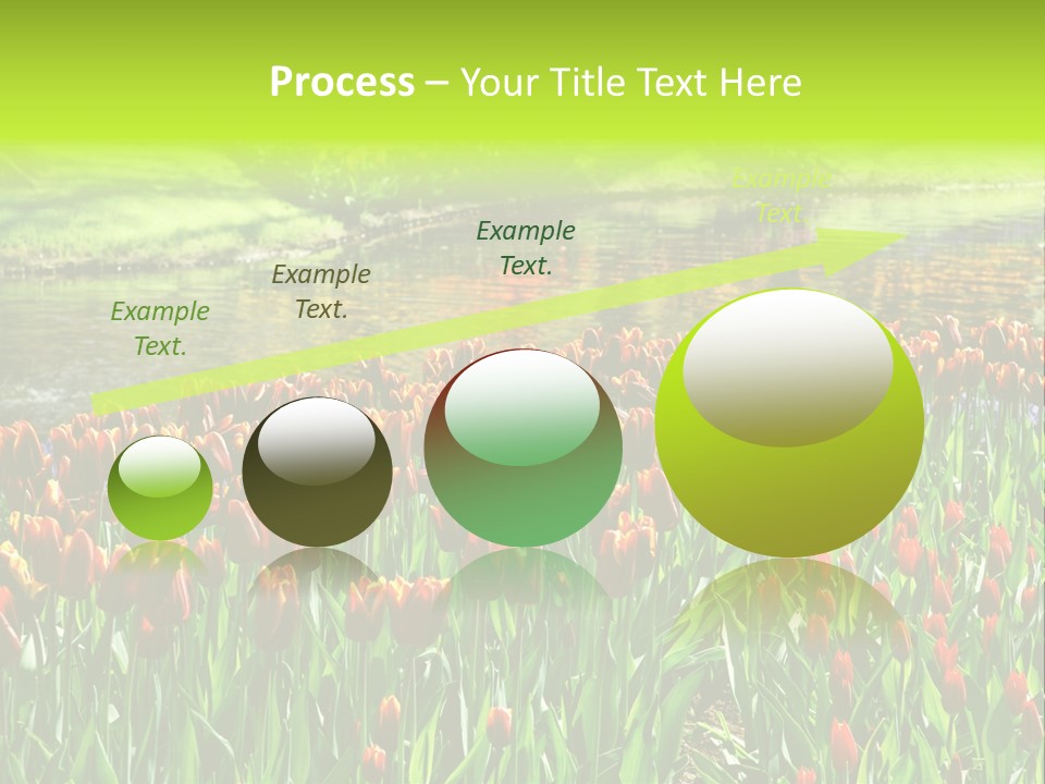 Pink Park Rural PowerPoint Template