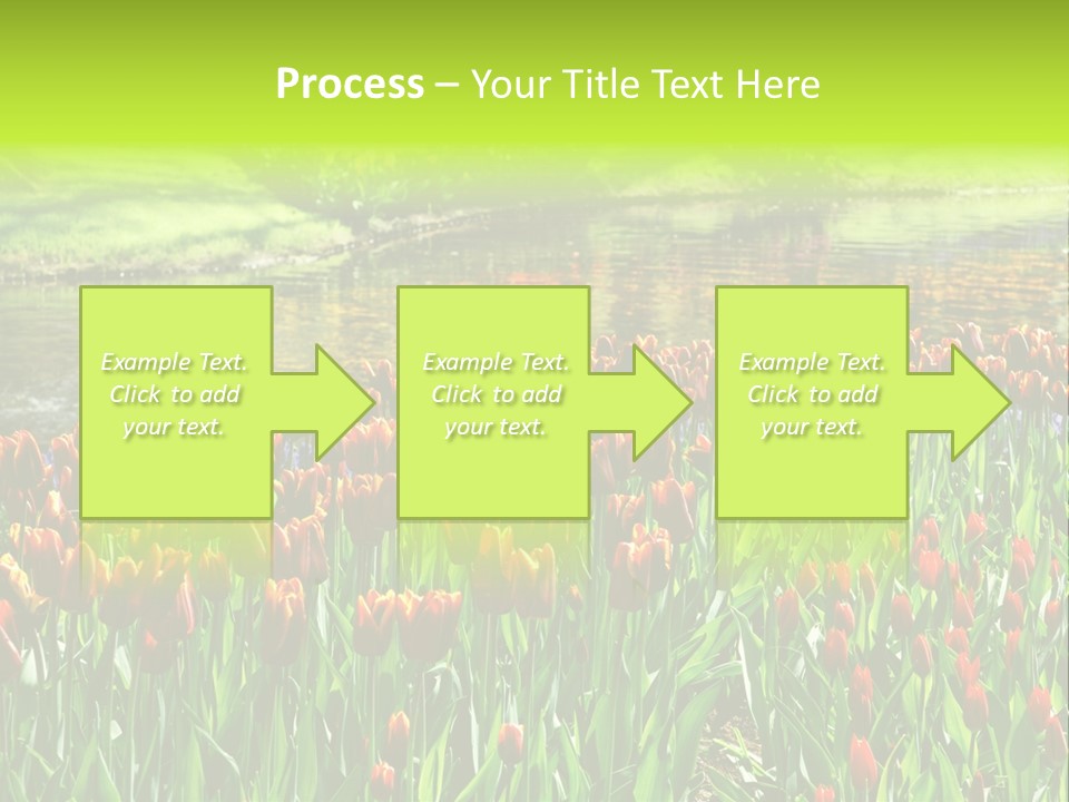 Pink Park Rural PowerPoint Template