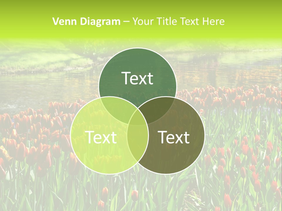 Pink Park Rural PowerPoint Template