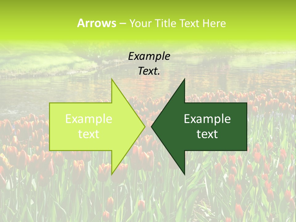 Pink Park Rural PowerPoint Template