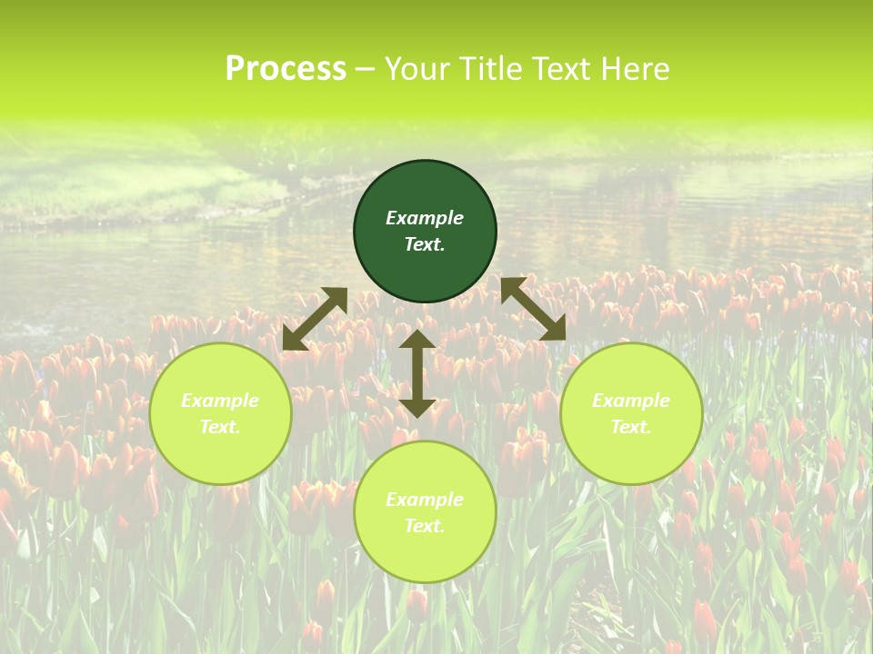 Pink Park Rural PowerPoint Template