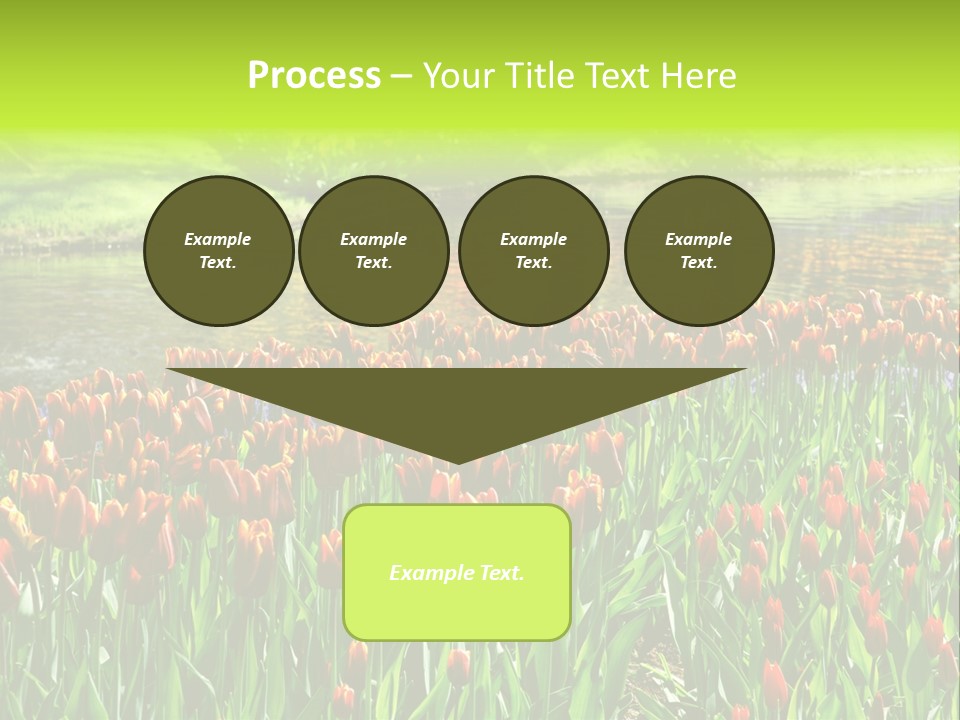 Pink Park Rural PowerPoint Template
