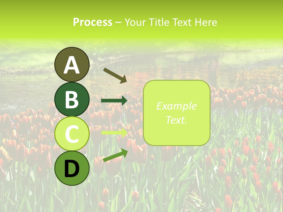 Pink Park Rural PowerPoint Template