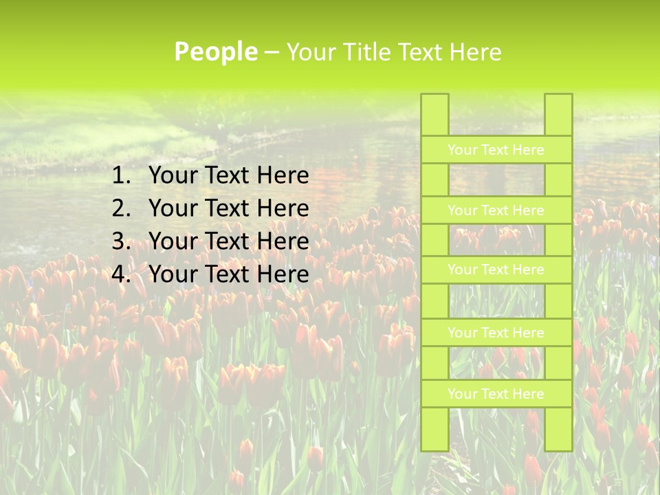 Pink Park Rural PowerPoint Template