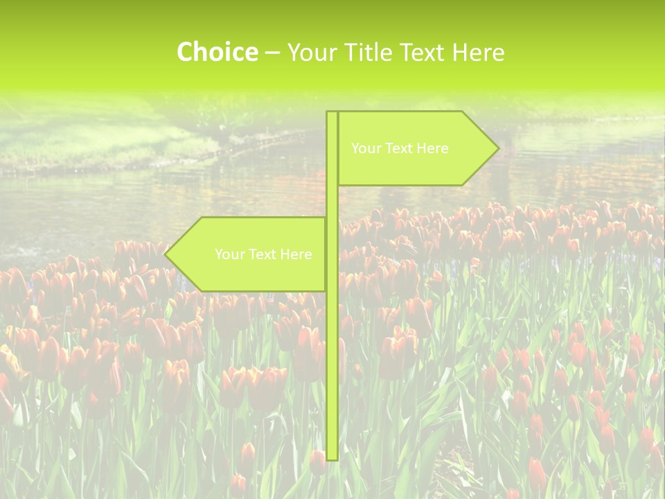 Pink Park Rural PowerPoint Template