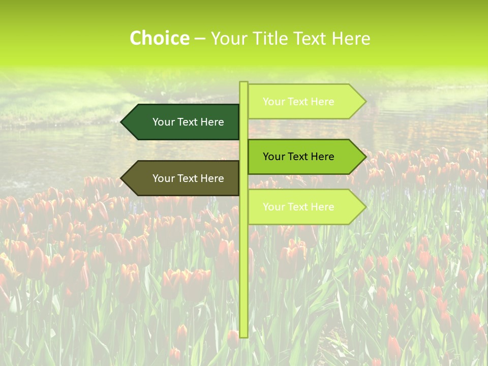 Pink Park Rural PowerPoint Template