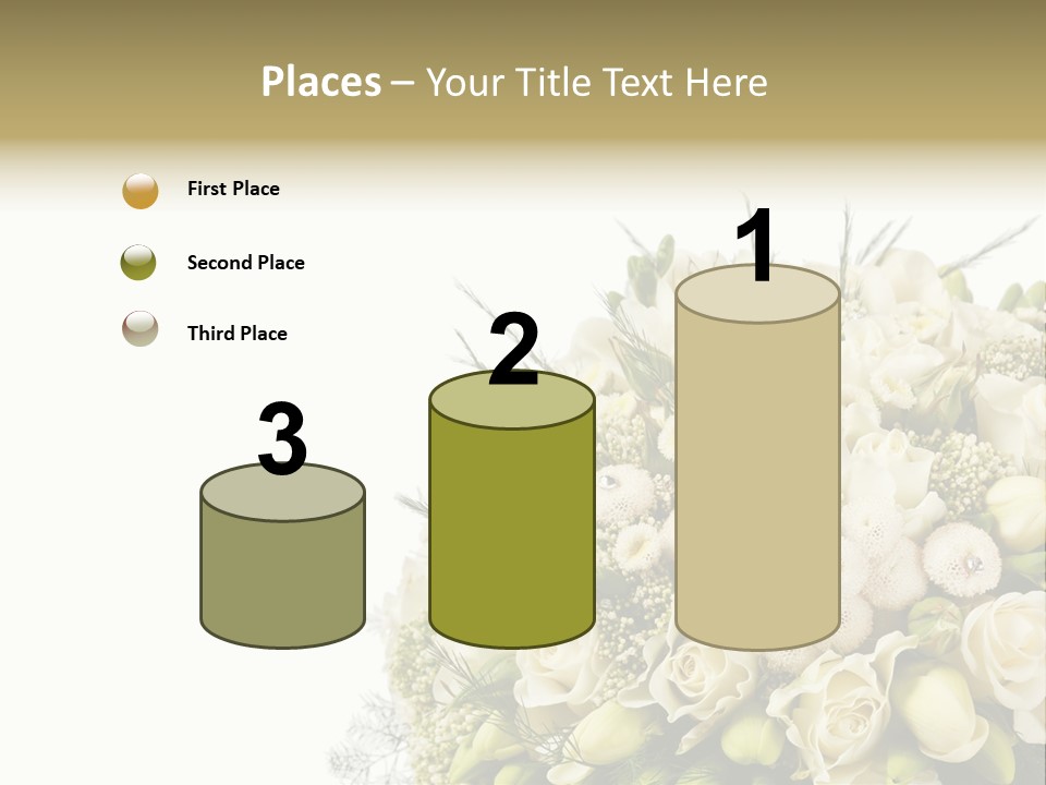 Space Bridal Copy PowerPoint Template