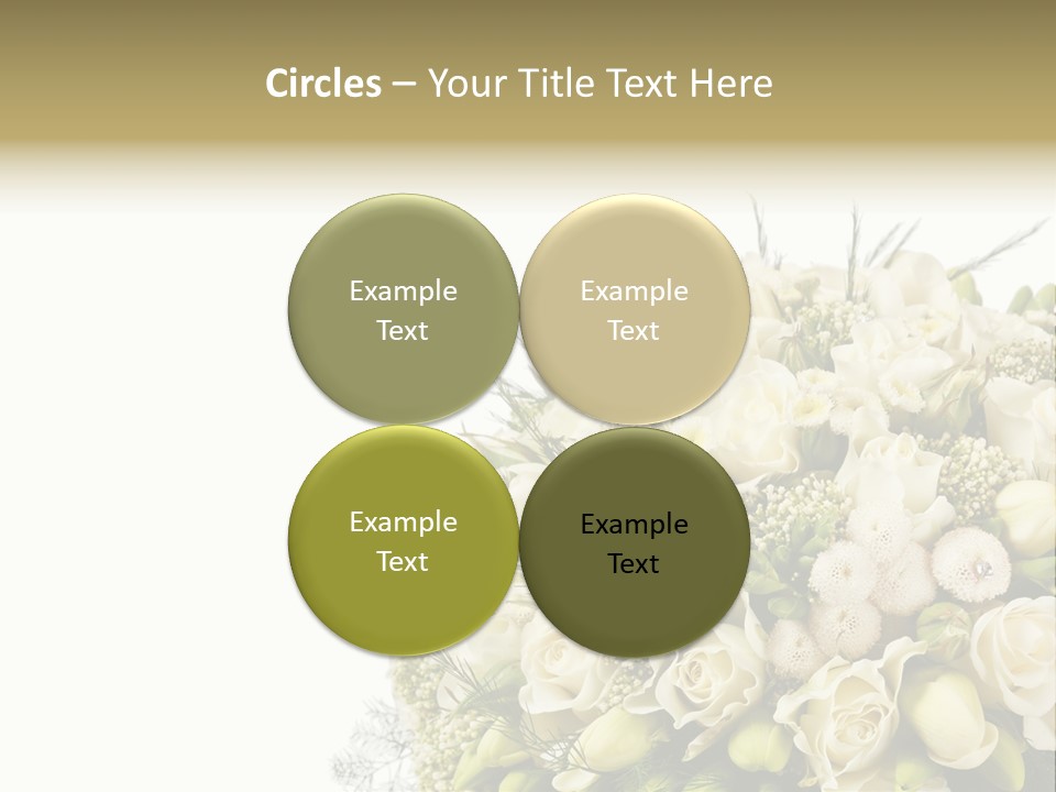 Space Bridal Copy PowerPoint Template