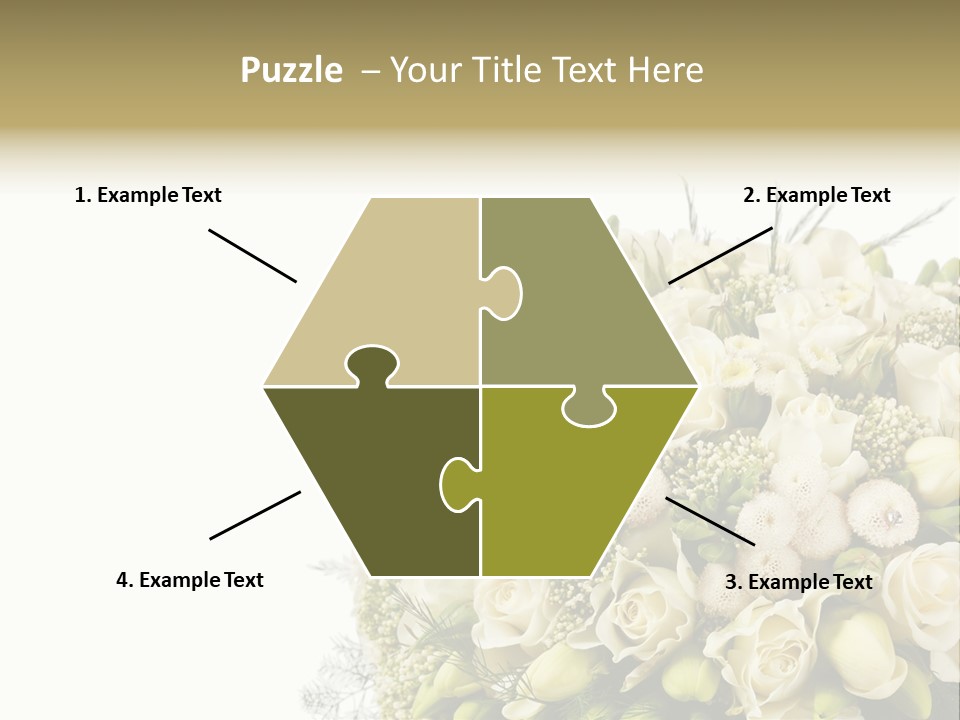 Space Bridal Copy PowerPoint Template