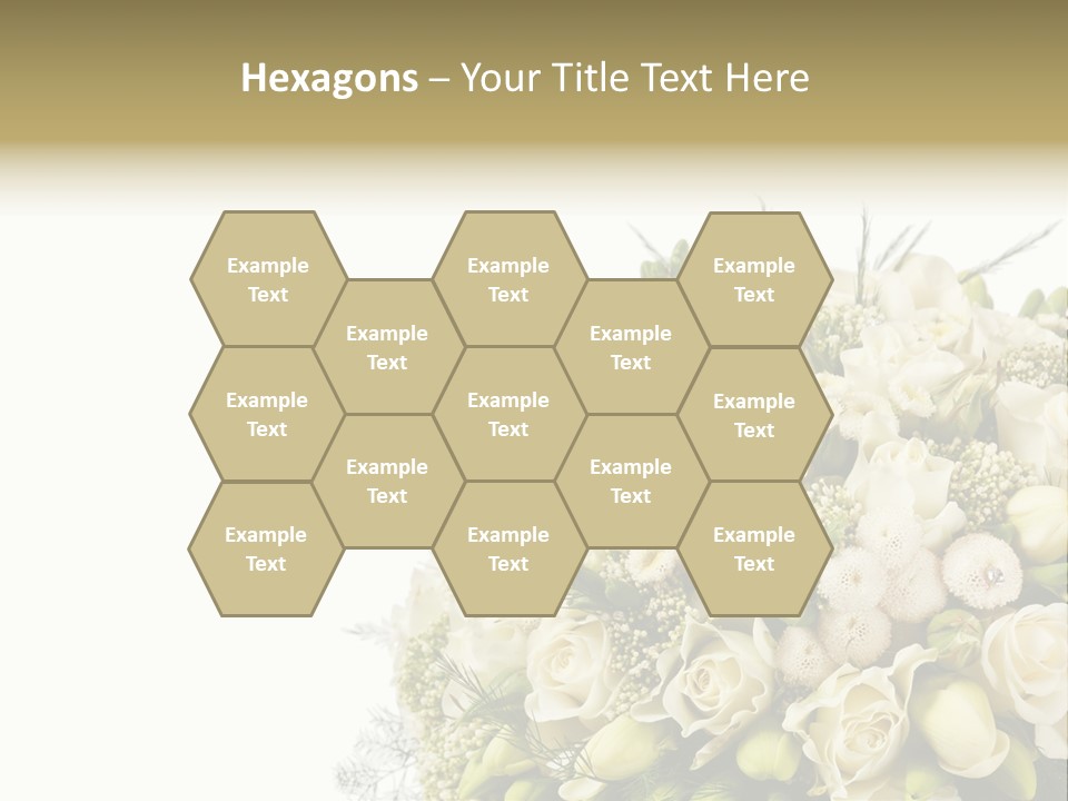 Space Bridal Copy PowerPoint Template