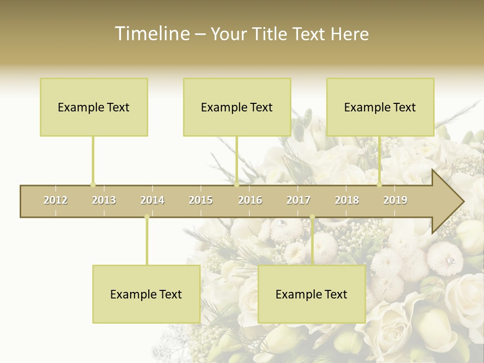 Space Bridal Copy PowerPoint Template