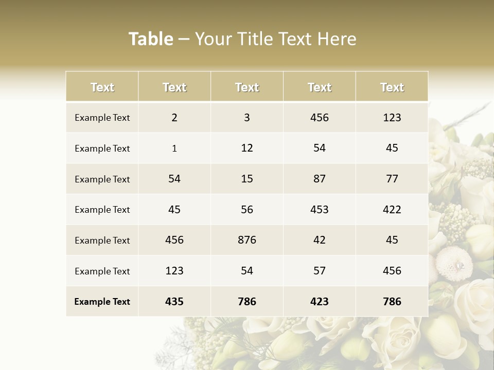 Space Bridal Copy PowerPoint Template