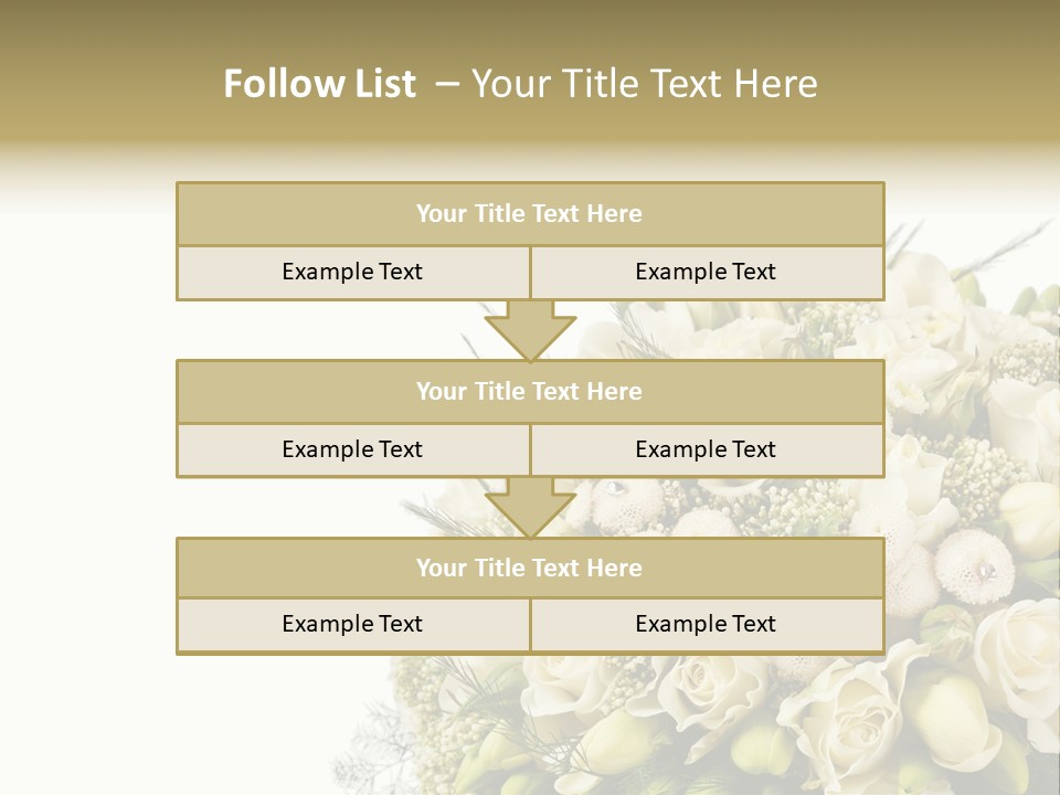Space Bridal Copy PowerPoint Template