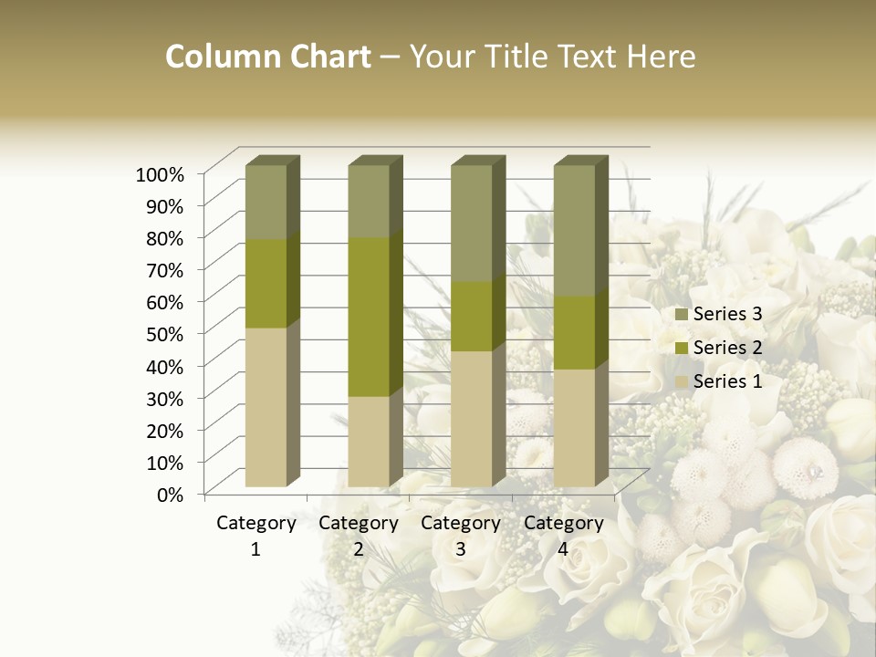 Space Bridal Copy PowerPoint Template