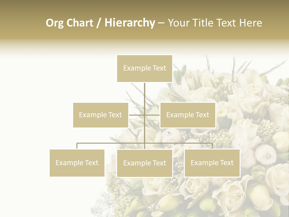 Space Bridal Copy PowerPoint Template