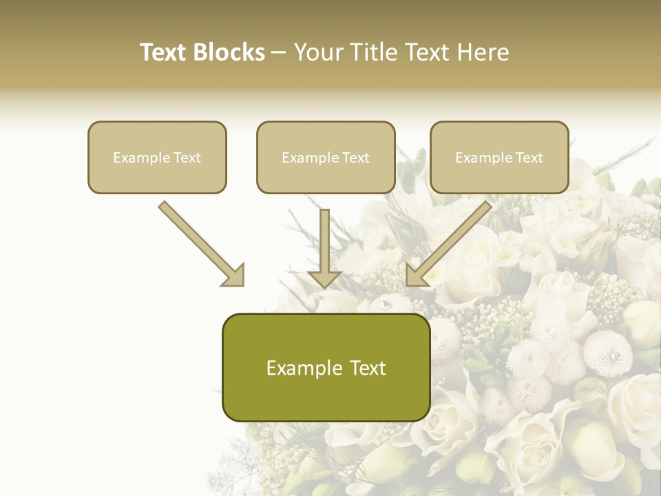 Space Bridal Copy PowerPoint Template