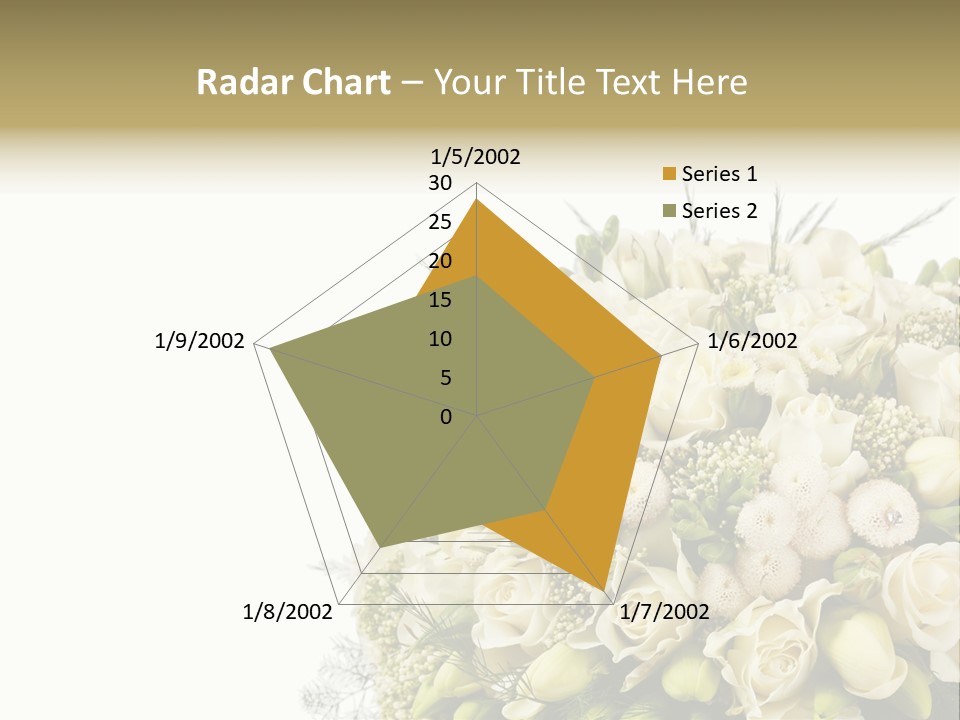 Space Bridal Copy PowerPoint Template