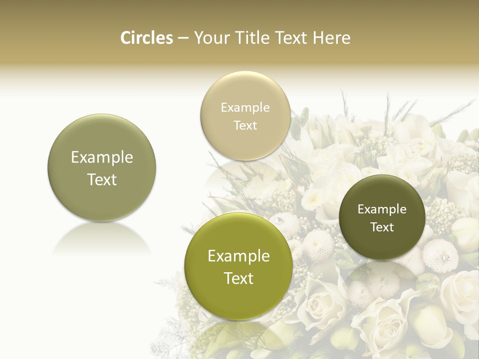 Space Bridal Copy PowerPoint Template