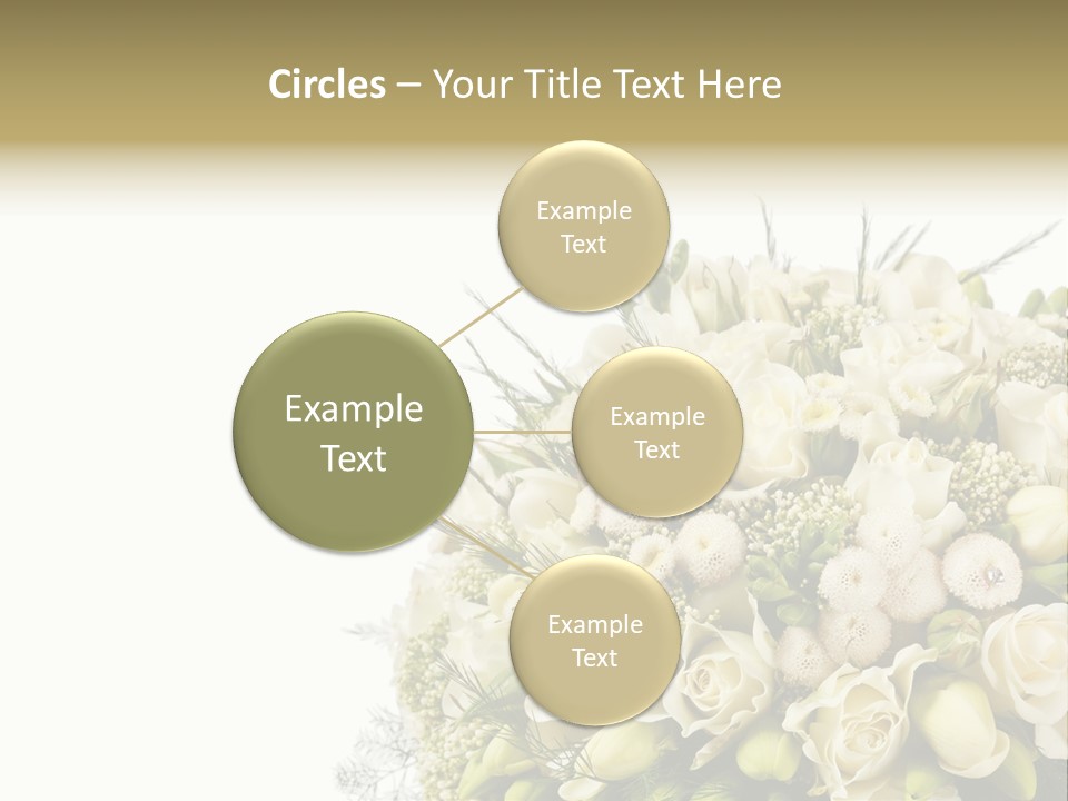 Space Bridal Copy PowerPoint Template