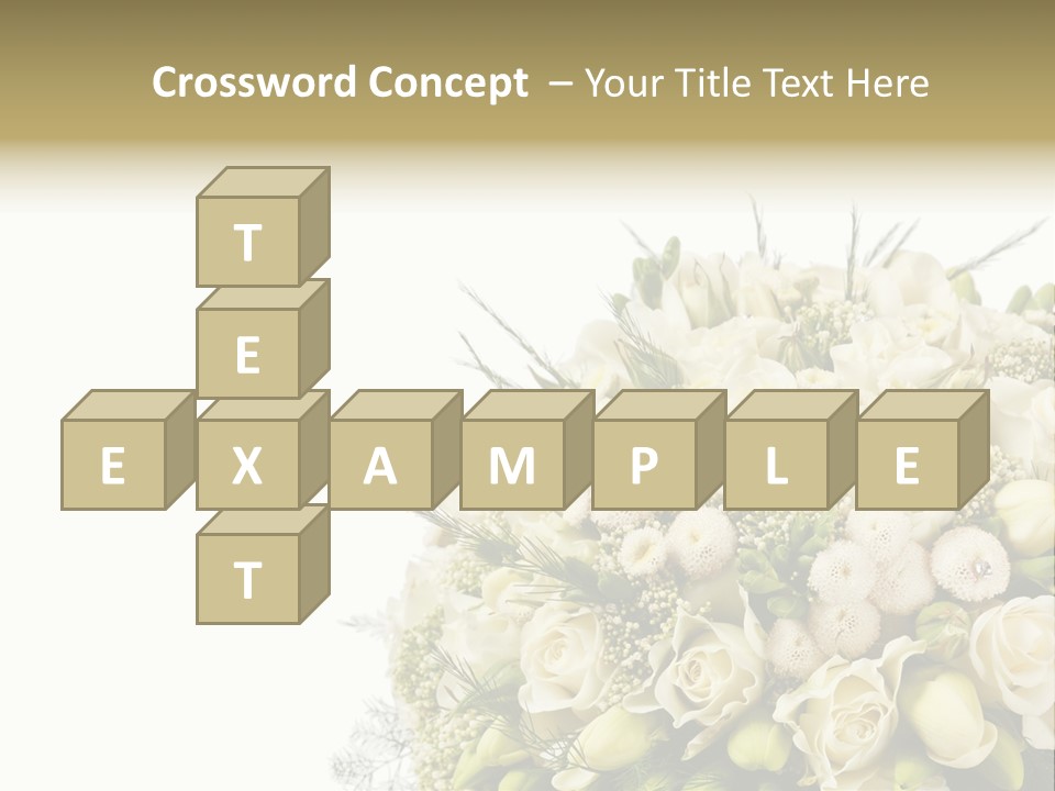 Space Bridal Copy PowerPoint Template