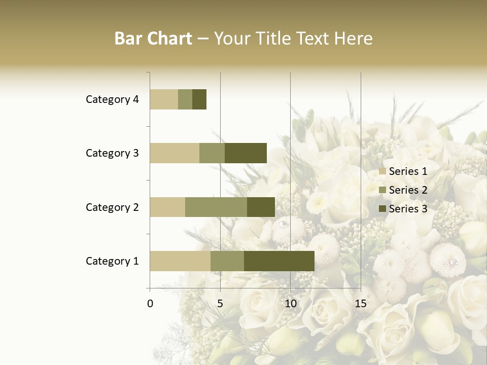 Space Bridal Copy PowerPoint Template