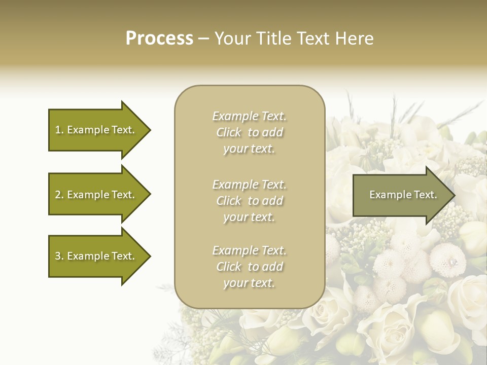 Space Bridal Copy PowerPoint Template