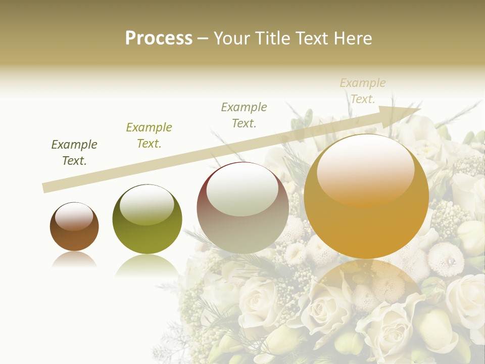 Space Bridal Copy PowerPoint Template