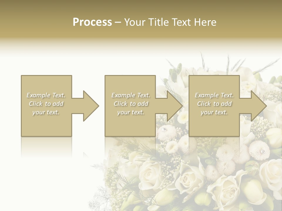 Space Bridal Copy PowerPoint Template
