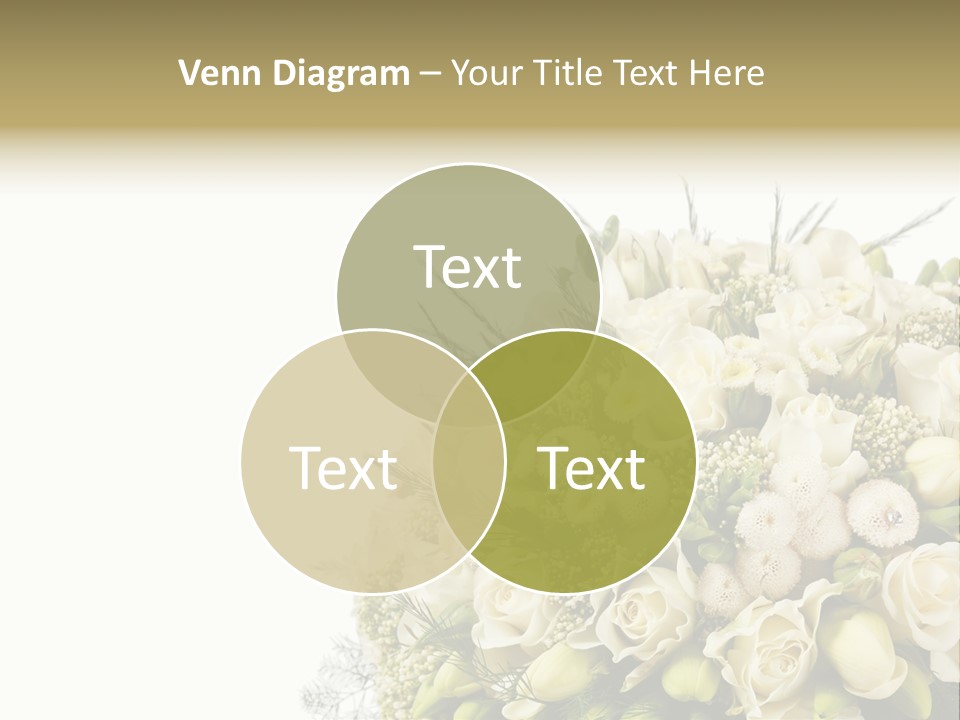 Space Bridal Copy PowerPoint Template