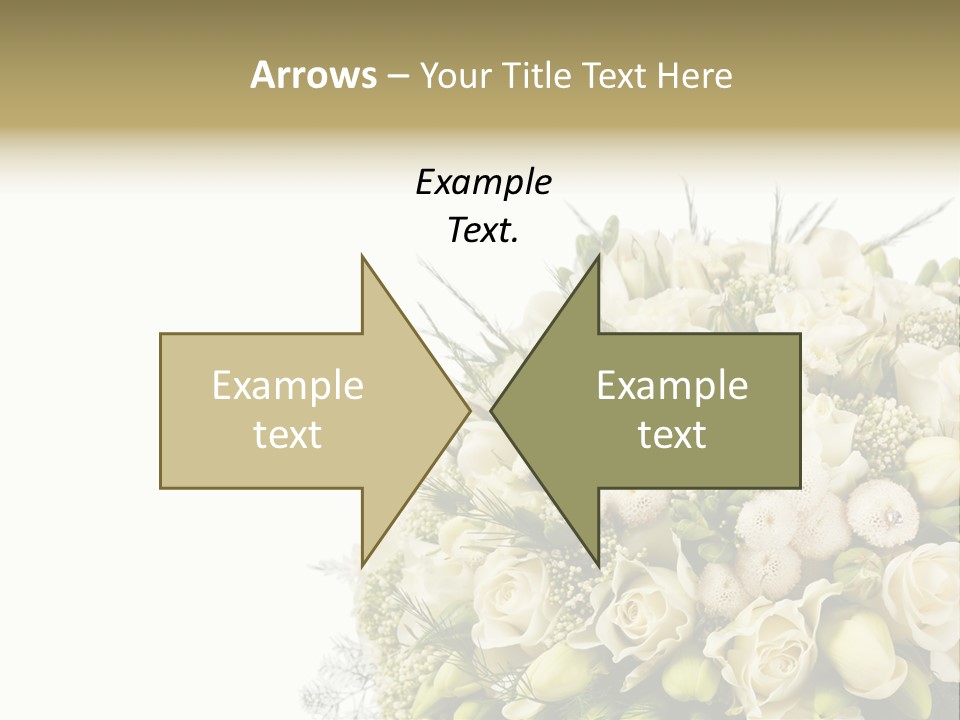 Space Bridal Copy PowerPoint Template