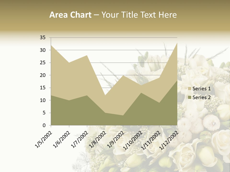Space Bridal Copy PowerPoint Template