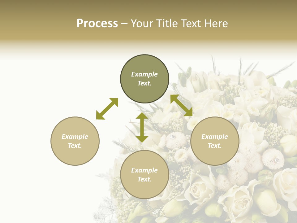 Space Bridal Copy PowerPoint Template