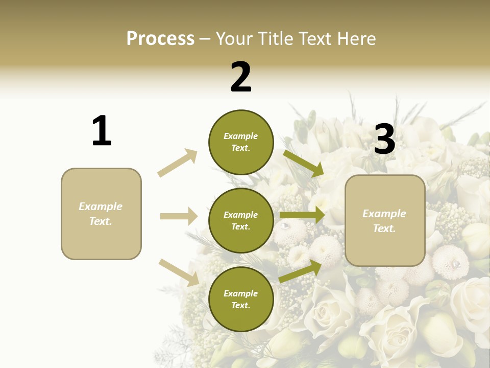 Space Bridal Copy PowerPoint Template