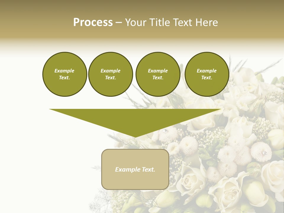 Space Bridal Copy PowerPoint Template