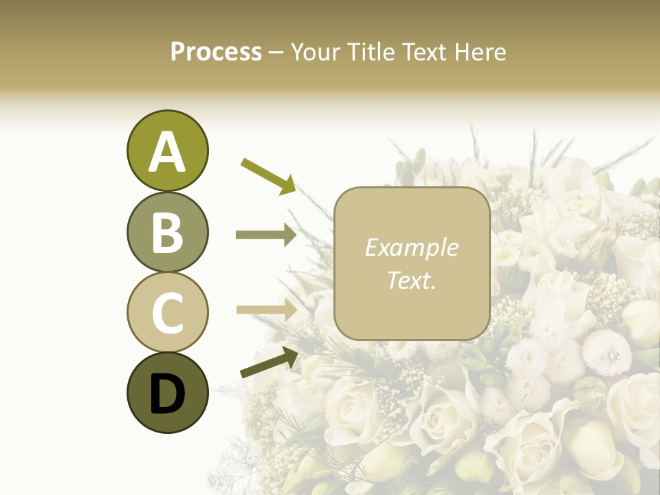Space Bridal Copy PowerPoint Template
