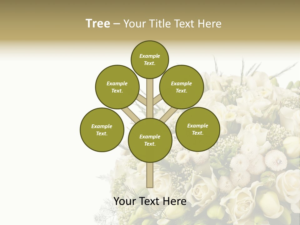 Space Bridal Copy PowerPoint Template