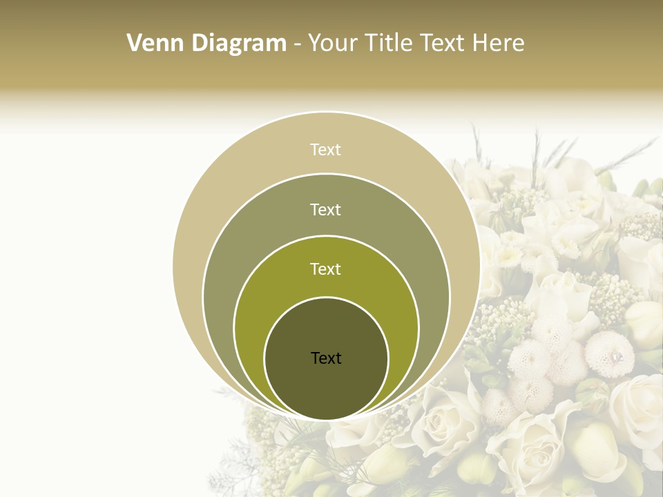 Space Bridal Copy PowerPoint Template