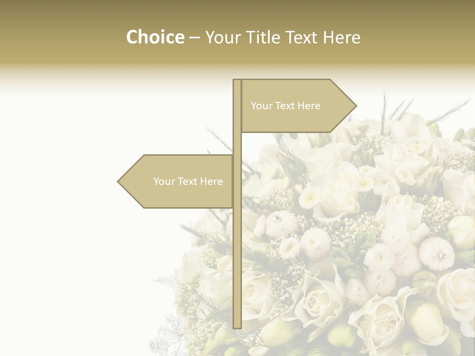 Space Bridal Copy PowerPoint Template